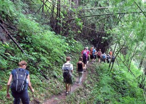 Chiang Mai trekking 