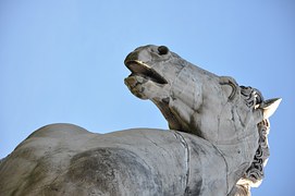Statue or horse 
